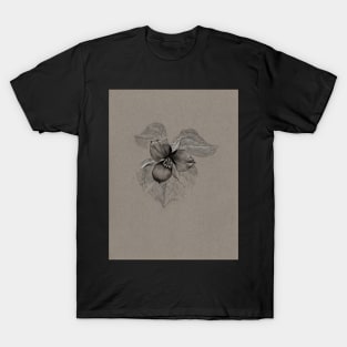 Black and Grey Trillium Drawing T-Shirt